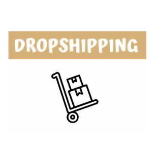 DROPSHIPPING COURSE